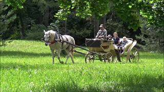 Прогулка по Спасскому-Лутовинову (усадьба И. С. Тургенева) Прогулка по Спасскому-Лутовинову (усадьба И. С. Тургенева)