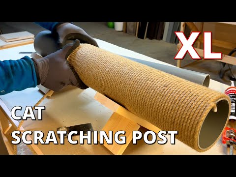 Video: Do-it-yourself cat scratching posts: is it easy to make them