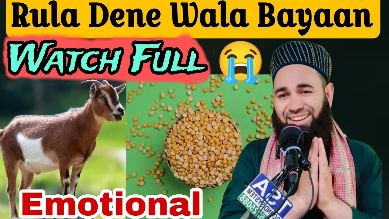 Rula Dene Wala BayaanWatch Full Emotional BayaanMolana Firdous Raza Qadri Sahab viralvideo