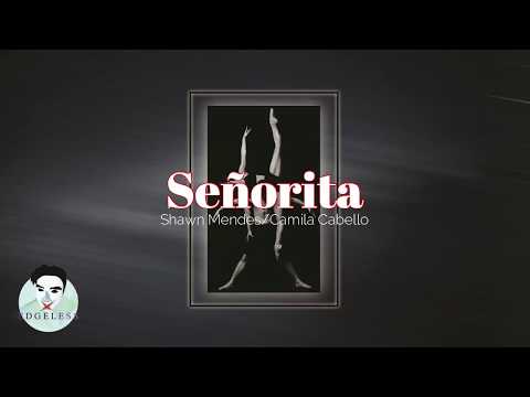 señorita---shawn-and-camila-(lyrics)