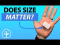 Don’t Be Fooled By Its Size: Apollo MSR-2 mmWave Multisensor