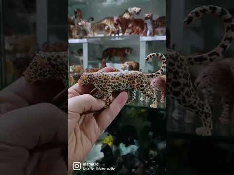 Figurine Toys Photography By Al Amir Id Animal Toys Figures Collecta Figurines Diorama