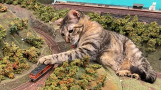 4K Cat Cafe In Japan Diorama Restaurant Giant Cats In Osakaminiature Japanese Railway Diorama