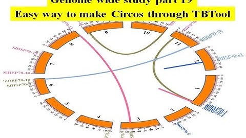 Genome wide study Part 19 | Circos | Easy way to make Circos | Circos through TBTool | Circa
