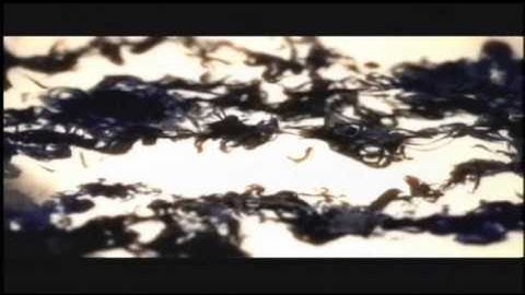 Kaskade & Deadmau5 - Move For Me (Official Music Video)