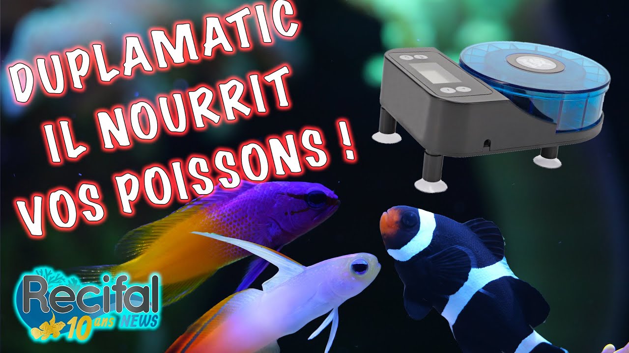 Duplamatic, distributeur de nourriture pour poissons de Dupla