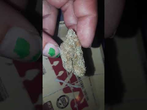 Strain review of lambs breath