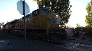 (NB) UP Priority Z-Intermodal Train passes through the Sunnyside Beach Pedestrian Railroad Crossing.