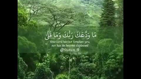 سورة الضحى - بصوت جميل