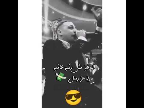 الدنيا مش دنية عافية ولا عز ومال رضا البحراوي حالات واتس ستوري
