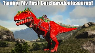 I Tamed My First Carcharodontosaurus!|ARK Survival Evolved