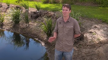 Treating water through wetlands