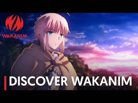 Wakanim: el fin de una era y el futuro del anime en streaming | Mundo Anime