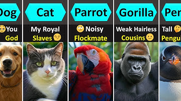 How Animals Emotionally See Humans (Top 100 Animals)