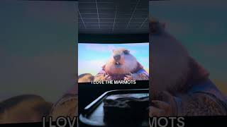 They Are So Cute I Cant