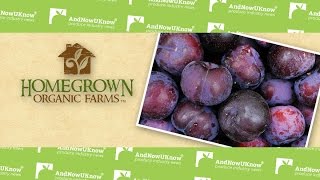 AndNowUKnow - Homegrown Organics - What's in Store