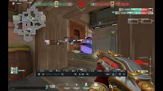 Squichy Pro Max | 106 Ping | Valorant EU