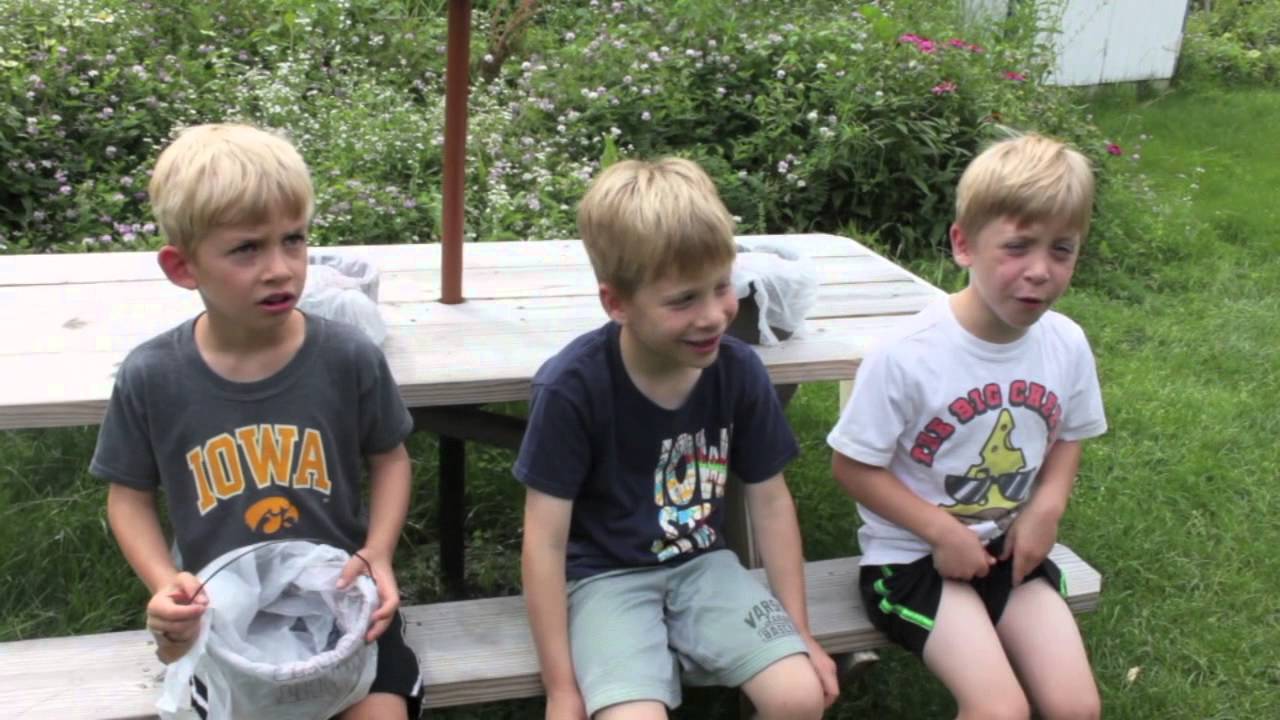 Fun at Blueberry Bay Farm