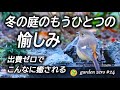 冬の庭で想定外の楽しさ【出費ゼロでこんなに癒される♪】