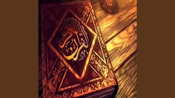 عامر الكاظمي سورة الماعون