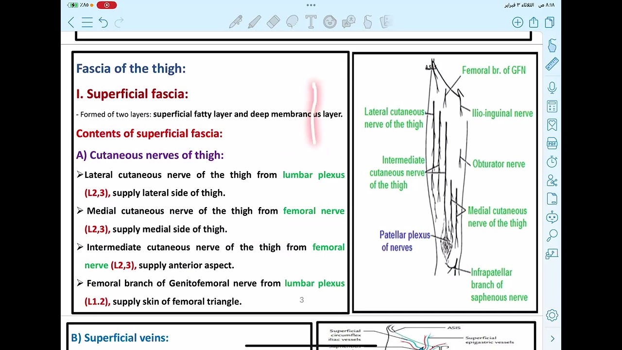 شرح موديول ال Musculoskeletal جامعه بنها الاهليه لتفاصيل أكثر للحجز والاستفسار يرجى تواصل01024584524