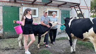 Все буде Україна! Ферма для дівчат готова, нарешті всі вдома (Заробіток на Коровах)