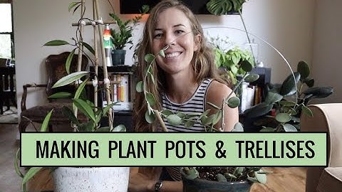 DIY plant trellis with just bamboo and string !!