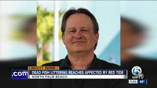 Full Dead fish litering beaches affected by red tide Update