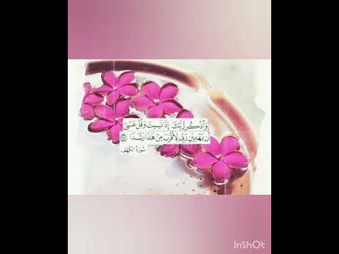 و اذكر ربك اذا نسيت