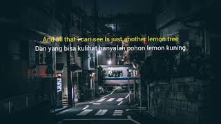 I wonder how,  I wonder why  Fools garden - lemon tree (lirik terjemahan)