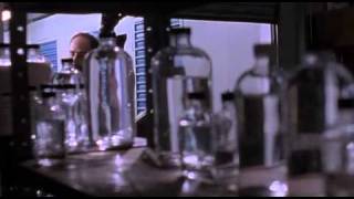 Path To Paradise   Movie