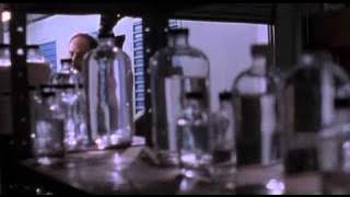 Path to Paradise - Full Movie
