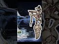 Warframes CRUELLEST ENEMY - #duviri #duviriparadox #warframe