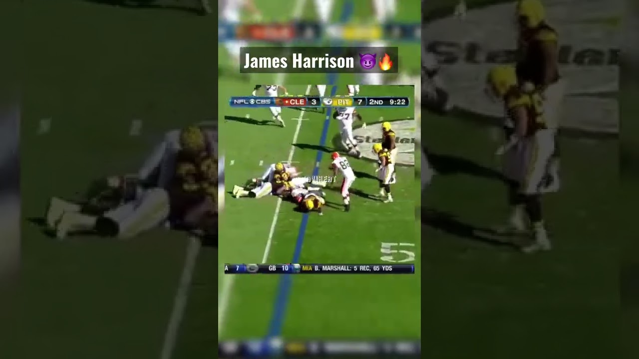 James Harrison hardest hits 😈 
