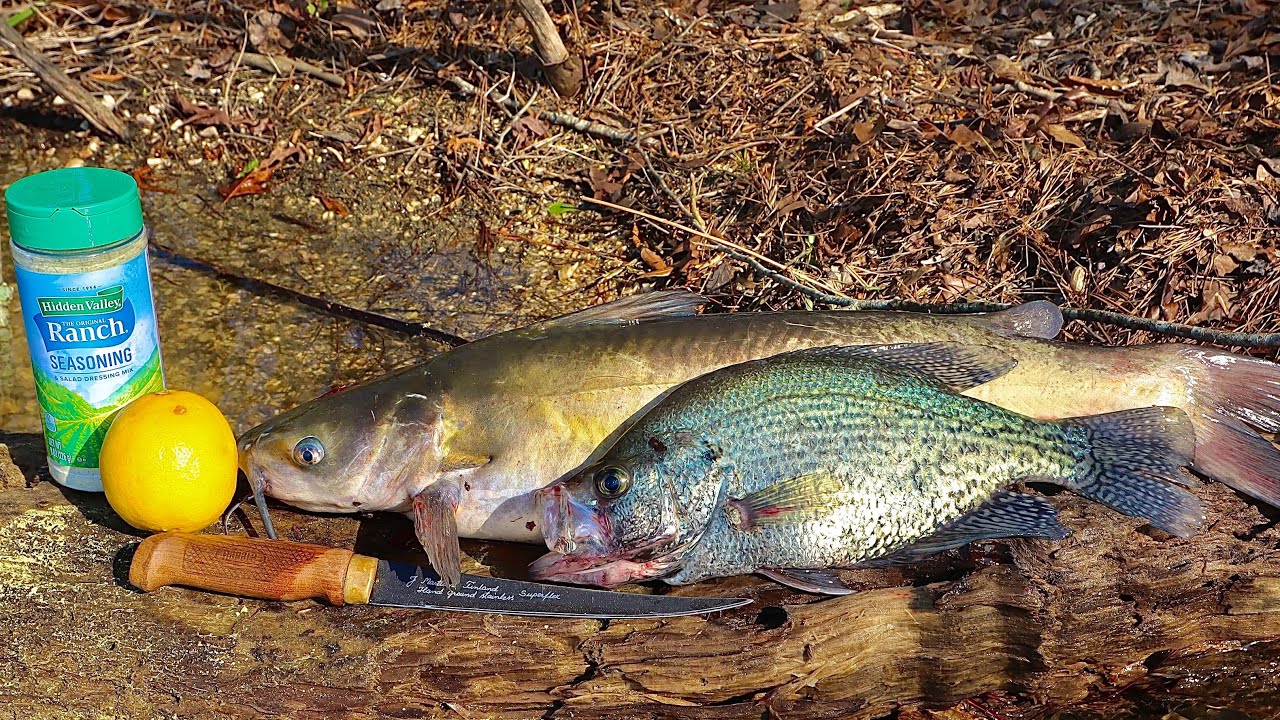 RANCH Seasoned Crappie/Catfish Catch n’ Cook! (Oddly Tasty) YouTube