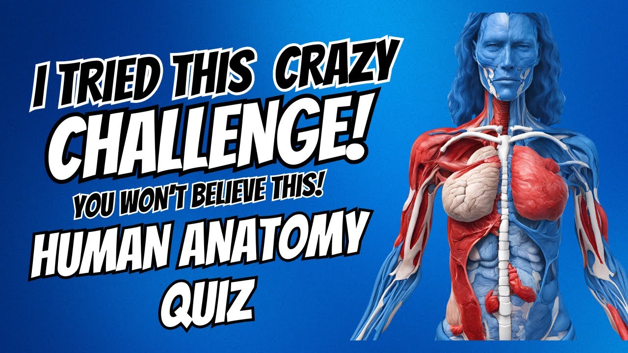 Can You Pass This Human Anatomy Quiz! Easy Questions ( Quiz 2 of 4 ...