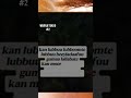 Warra Tokko 2024 2025 2026 Walaloo Afaan Afaan Oromoo 
