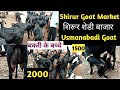 #शिरुर बाजार #Shirur goat market