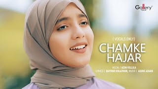 Chamke Hajar Azin Vellila Urdu Naat Video Gallery Vision Naat