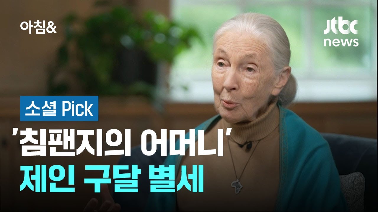 '침팬지의 어머니' 동물 학자·환경 운동가 제인 구달 별세 #소셜픽 / JTBC 아침& - YouTube