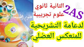 درس الدعامة التشريحية للمنعكس  العضلي  2AS#التنظيم العصبي  الثانية ثانوي علوم تجريبية