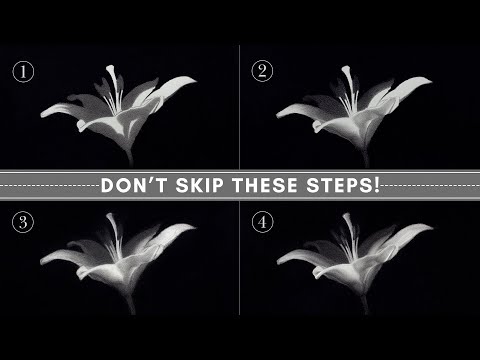 Your Realistic Shading Roadmap - How to Shade a Drawing in 4 Clear Steps