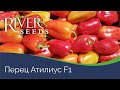 Перец Атилиус F1