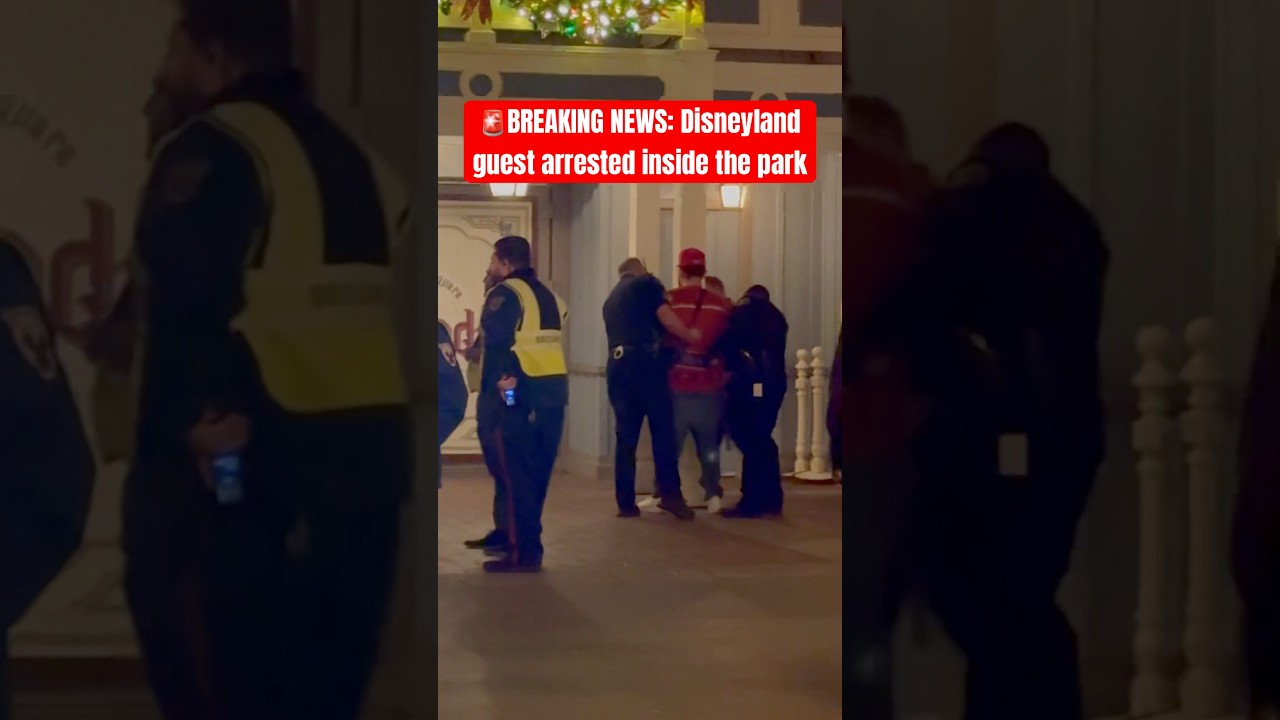 🚨Disneyland Arrest Caught on Camera! 