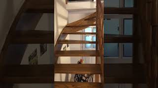 Lesene Stopnice Javor Masivni