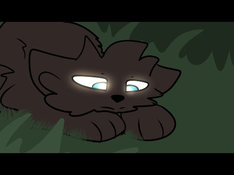 Scared MAP - Part 4