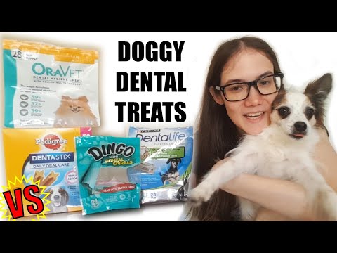 comparing-dental-treats-for-my-picky-pup!-a-comprehensively-unplanned-video-review