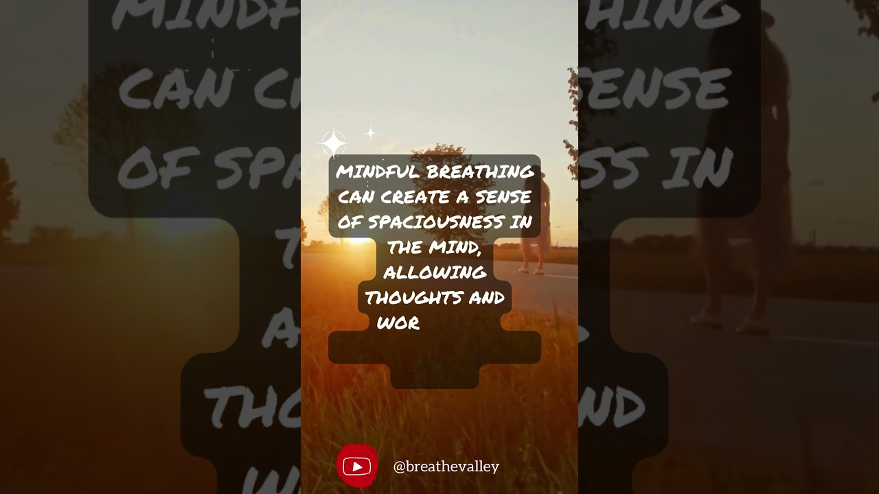 Breath Meditation for Stress Management #breathmeditation  #breathing #breathingtechniques