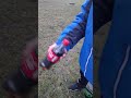 31 stycznia 2026