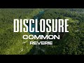 Disclosure, Common - Reverie (Official Visualiser)